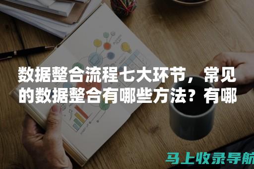 从数据整合到决策支持，统计站长的职责解析